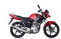 cropped-A1-MOTOR-e1683365718291 A1 Sınıfı Ehliyet